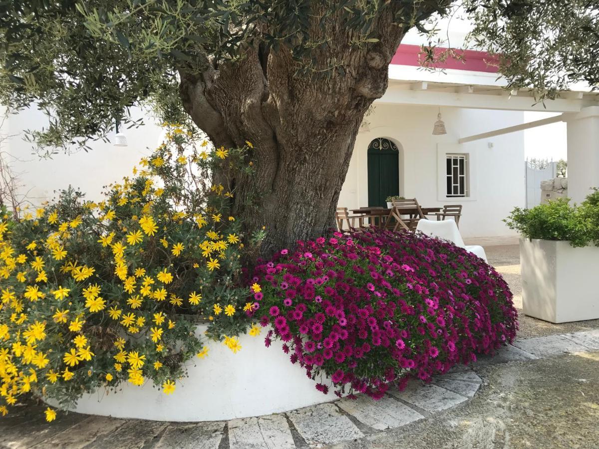 Vila Dimora Polignano a Mare Exteriér fotografie